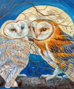 Moon Owls Paint By Numbers