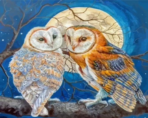 Moon Owls Paint By Numbers