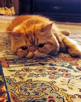 Orange Cat On Persian Rug Paint By Numbers