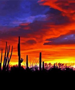 Red Sunset Arizona Paint By Numbers