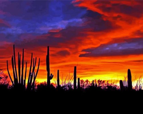 Red Sunset Arizona Paint By Numbers