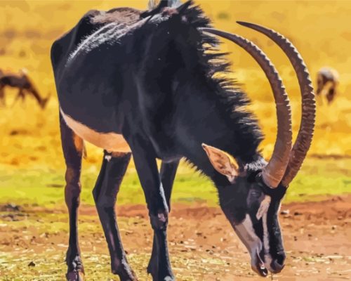 Sable Antelope Paint By Numbers