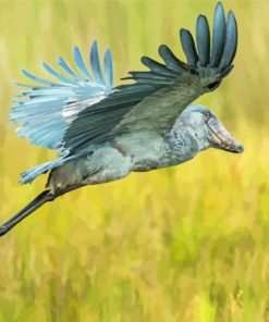 Shoebill In A Flight Paint By Numbers