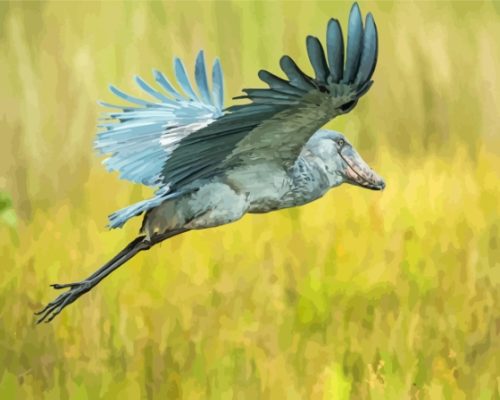 Shoebill In A Flight Paint By Numbers