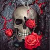 Skulls With Roses Paint By Numbers