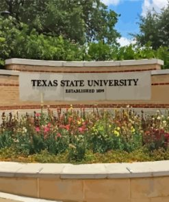 Texas State University Entrance Paint By Numbers
