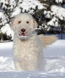 White Golden Doodle Dog In Snow Paint By Numbers