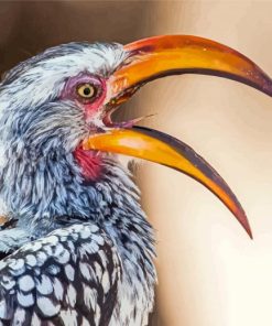 Yellow Billed Hornbill African Bird Paint By Numbers