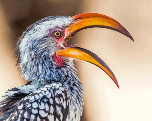 Yellow Billed Hornbill African Bird Paint By Numbers