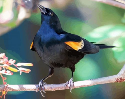 Yellow Winged Blackbird On Stick Paint By Numbers