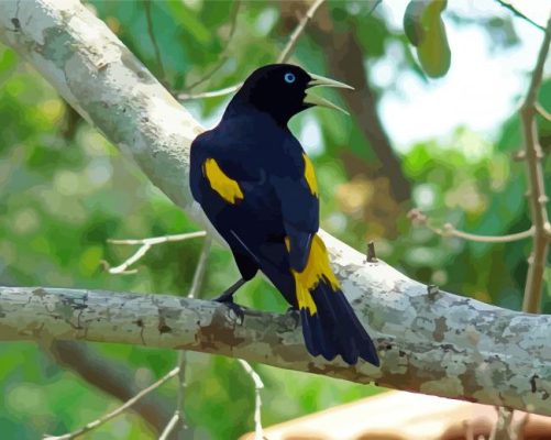 Yellow Winged Blackbird On Tree Branch Paint By Numbers