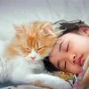 Adorable Girl Sleeping With Cat Pet Paint By Numbers