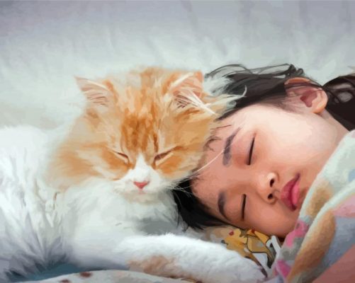 Adorable Girl Sleeping With Cat Pet Paint By Numbers