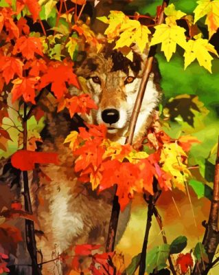 Autumn Wolf Paint By Numbers