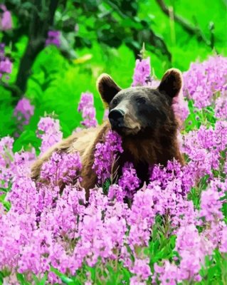 Bear Flower Field Paint By Numbers