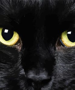 Black Cat Eyes Paint By Numbers