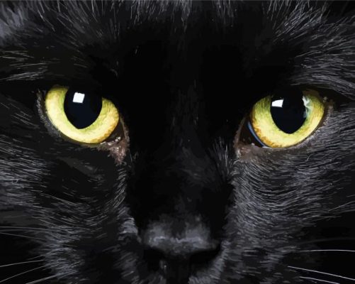 Black Cat Eyes Paint By Numbers