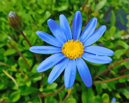 Blue Daisies Paint By Numbers