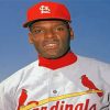 Bob Gibson Paint By Numbers