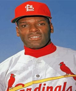 Bob Gibson Paint By Numbers