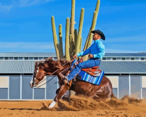 Brown Horse Reining Paint By Numbers