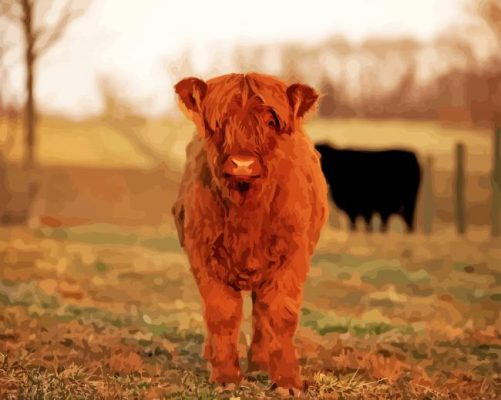 Brown Baby Cow Paint By Numbers