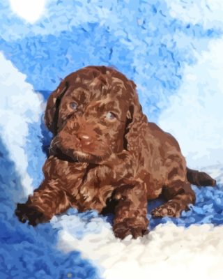 Brown Cockapoo Puppy Paint By Numbers