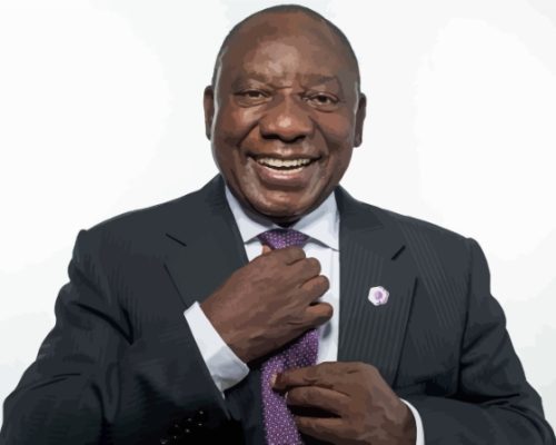 Cyril Ramaphosa Smiling Paint By Numbers