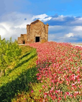 Flower Path In Monsaraz Paint By Numbers