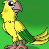 Golden Conure Paint By Numbers
