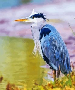 Grey Herron Paint By Numbers