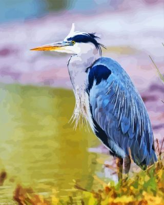 Grey Herron Paint By Numbers