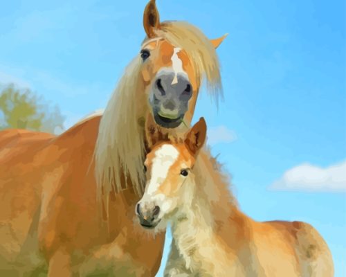 Haflinger Horse Mare And Foal Paint By Numbers