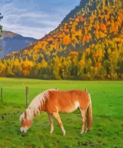 Haflinger Horse On Meadow In Alps Paint By Numbers