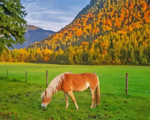 Haflinger Horse On Meadow In Alps Paint By Numbers