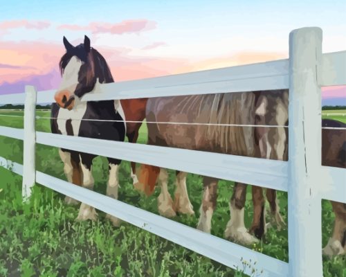 Horse Fence At Sunset Paint By Numbers