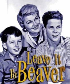 Leave It To Beaver Illustration Paint By Numbers