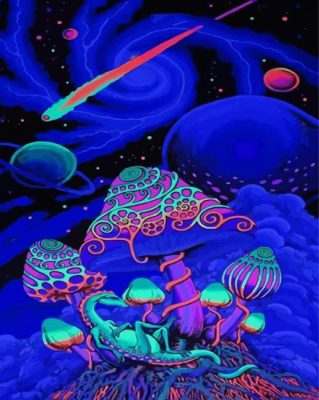 Magical Space Mushroom Paint By Numbers