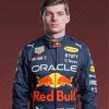 Max Verstappen Paint By Numbers