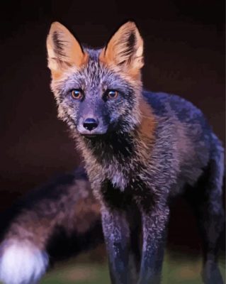 Melanistic Fox Face Paint By Numbers