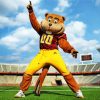 Minnesota Golden Gophers Paint By Numbers