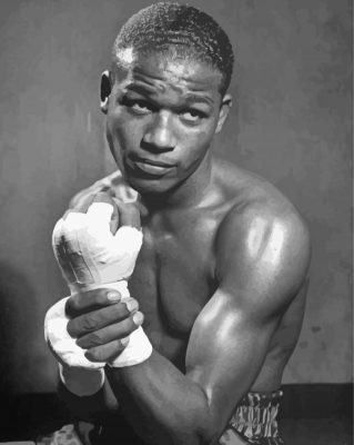 Professional Boxer Sugar Ray Robinson Paint By Numbers