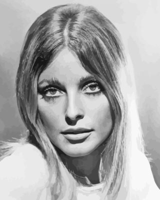 Sharon Tate Paint By Numbers