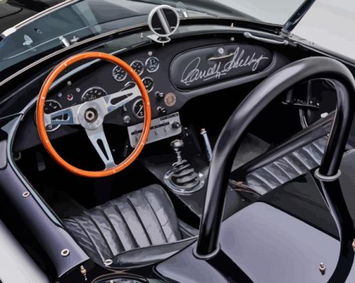 Shelby Cobra Le Mans Interior Paint By Numbers