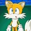 Tails The Hedgehog Animation Paint By Numbers