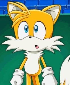 Tails The Hedgehog Animation Paint By Numbers