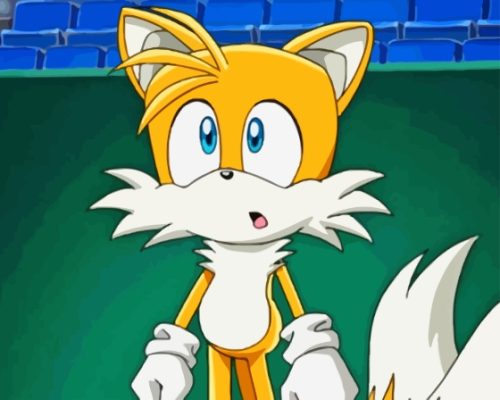 Tails The Hedgehog Animation Paint By Numbers