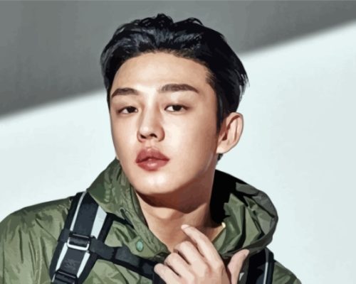 The South Korean Yoo Ah in Paint By Numbers