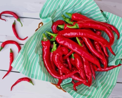 Hot Peppers Paint By Numbers