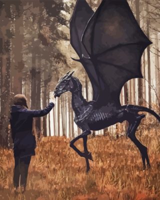 Thestral Winged Horse Paint By Numbers